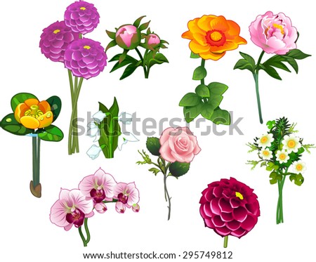 cut flowers zinnias, hydrangea, peonies, yellow water Lily, Dahlia, lilies, roses, orchids and daisies
