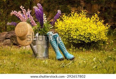 Garden tools. Composition of flowers, metallic watering can, rain boots and straw hat.