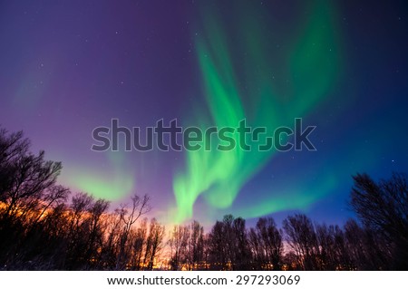 Northern lights over the forest in Norway. Aurora borealis.