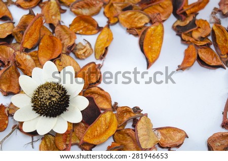 Dried orange leaves scattered on a table with a big white flower