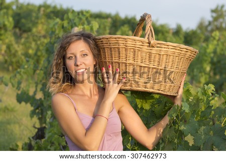 Young girl in grape harvest with big wicker basket for storing grapes. Working in field