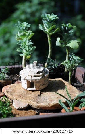 Miniature Mediterranean garden in a pot with a stony hut shelter kazun, typical for Istria, rocky landscape and grazing sheep, Aerial view