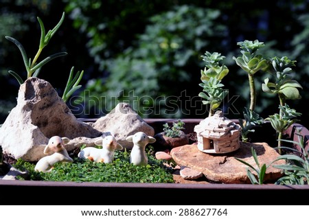 Miniature Mediterranean garden in a pot with a stony hut shelter kazun, typical for Istria, rocky landscape and grazing sheep