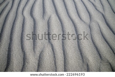 vertical lines in the sand