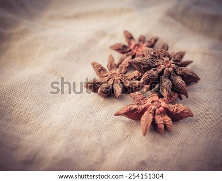 Seeds of anise on textile natural background, retro filtered