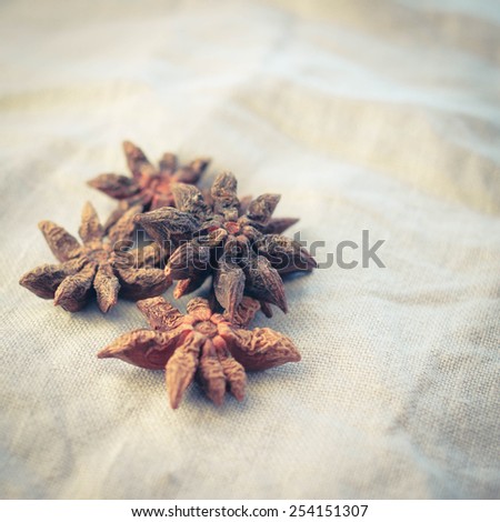 Seeds of anise on textile natural background, retro filtered