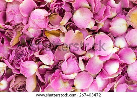 Dried rose petals close-up background. Selective focus.
