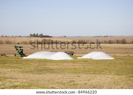 Two small bag silos used in agriculture to store grain at Victoria, province of Entre Rios, Argentina