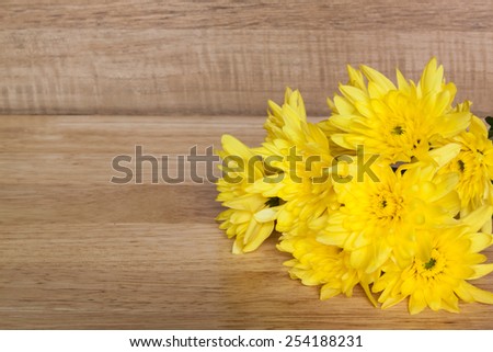 yellow flower Chrysanthemum  on wood deck