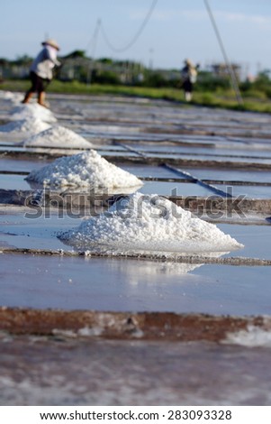 Nam Dinh, Vietnam, July 31: Farmers harvesting salt in salt fields on July 31, 2014 in Nam Dinh, Vietnam. Namdinh is province near by Hanoi- capital of Vietnam