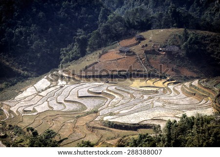Terraced rice fields. Terraced rice fields with old houses on sapa,Laocai, Vietnam