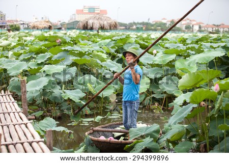 HANOI, VIETNAM, JULY 4: Unidentified farmer pick lotus on July 4, 2015 in Hanoi, Vietnam. Lotus tea HOTAY is the specialty of HANOI