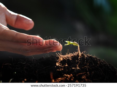 Hope and Waiting new life , hand and plant grow
