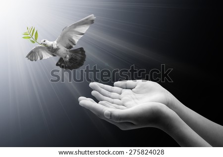 Hand releasing a bird into the air , all concept , peace and spirituality