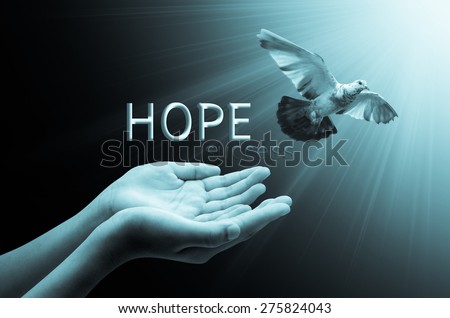 Hand releasing a bird into the air concept hope, peace and spirituality