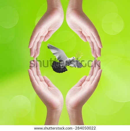 Hand releasing a bird into the air , all concept design , beauty, freedom, solution ,  peace , spirituality