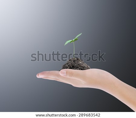 Hand holding plant on dark background