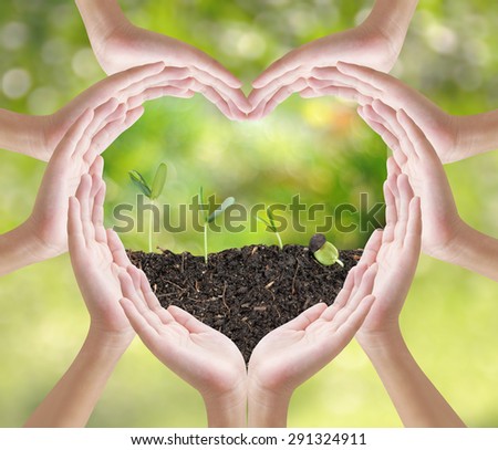 Hand heart shape and plant grow on nature background, concept design , Elements of image are furnished by NASA