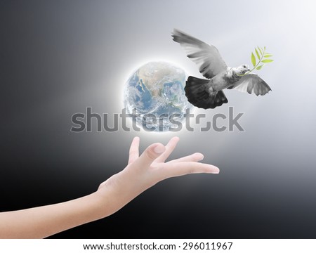 Hand releasing a bird into the air , concept for freedom, peace and spirituality,Elements of image are furnished by NASA