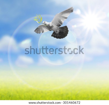 Bird in the air on nature background  , all concept , peace and spirituality