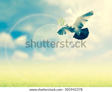 Hand releasing a bird into the air , all concept , peace and spirituality