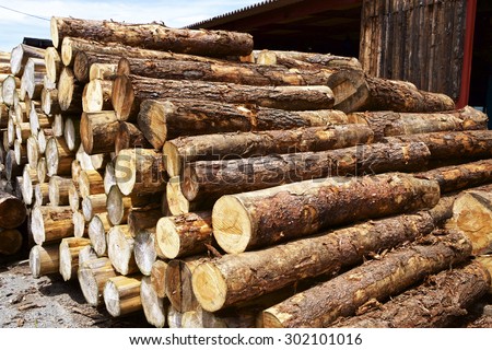 Felled lumber