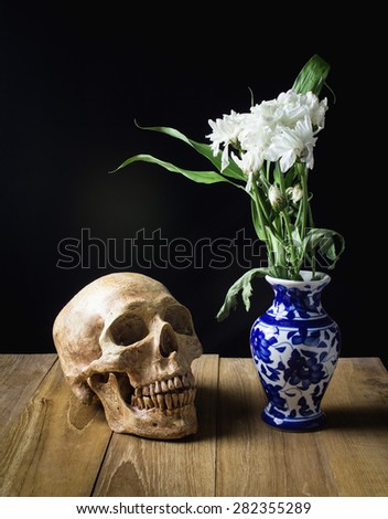 skull and white flower in blue vase still life on wood board