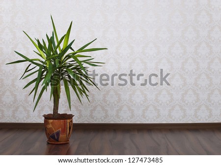 Wooden parquet floor and wallpaper on a wall and houseplant