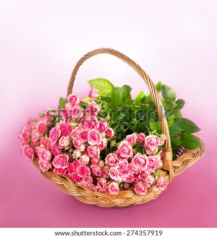 roses in a basket on a pink background