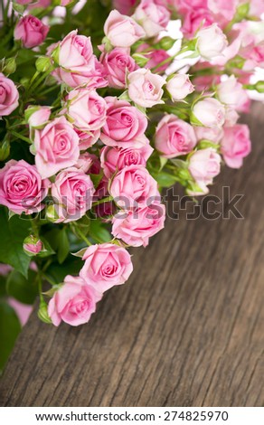 Big Roses Bouquet. branch of pink roses