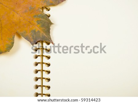 Empty page in notebook and  turned yellow autumn leaf