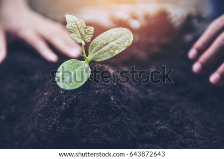 life in your hands.Young boy holding and caring and preventing a green young plant.Environment Protection For New Generation and Greenpeace Sustainable Development concept