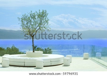 Nice patio with olive tree by the sea
