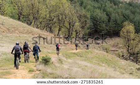 Group of mountain bikers in the forest.