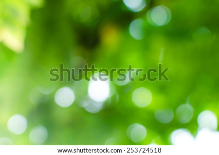 photo stock blurred background from light through leaf, colorful green white blue and black shade