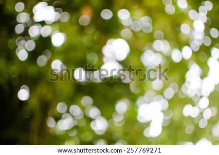 photo stock blurred background from light through leaf, colorful green white blue and black shade