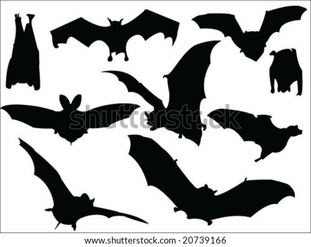 stock vector bats silhouette collection vector
