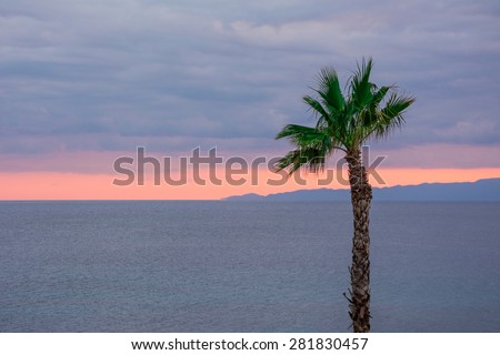 Looking at the nice orange colour sunset behind a tall palm tree.