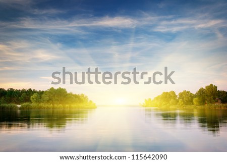 River and spring forest. Nature composition.