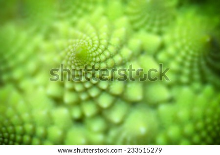 Abstract pattern of spiral. Nature macro composition. Shallow depth-of-field.