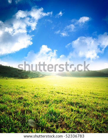 Sunrise in deep green meadow. Nature composition.