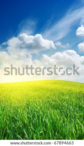 Sunrise in green meadow. Nature composition.