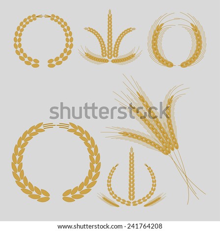 vector illustration of cereal grains and ears for logo design or and agriculture industry