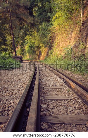 Railroad tracks through a forest and countryside, Thailand.