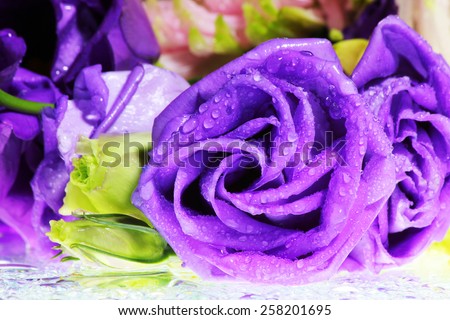 bouquet of purple roses with water drop on the table