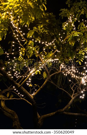 led light on tree at holidays night