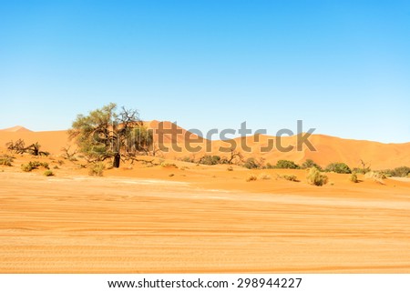 Panoramic view at sand dune in the Namibian Desert near Sossusvlei