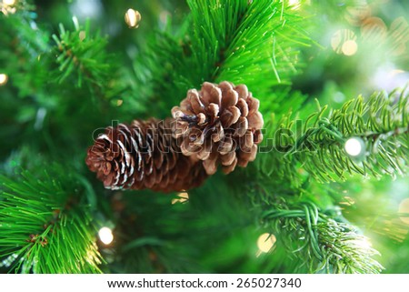 Beautiful color Christmas pine cone on green branches