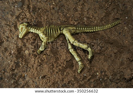 Toy dinosaur figurine skeleton in a real nature scenery outdoors