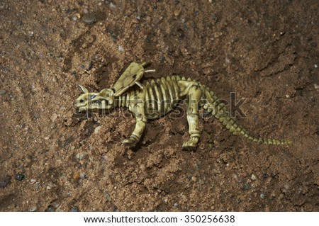 Toy dinosaur figurine skeleton in a real nature scenery outdoors